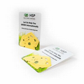 Mini Cheese Style Shape Seed Paper Gift Pack